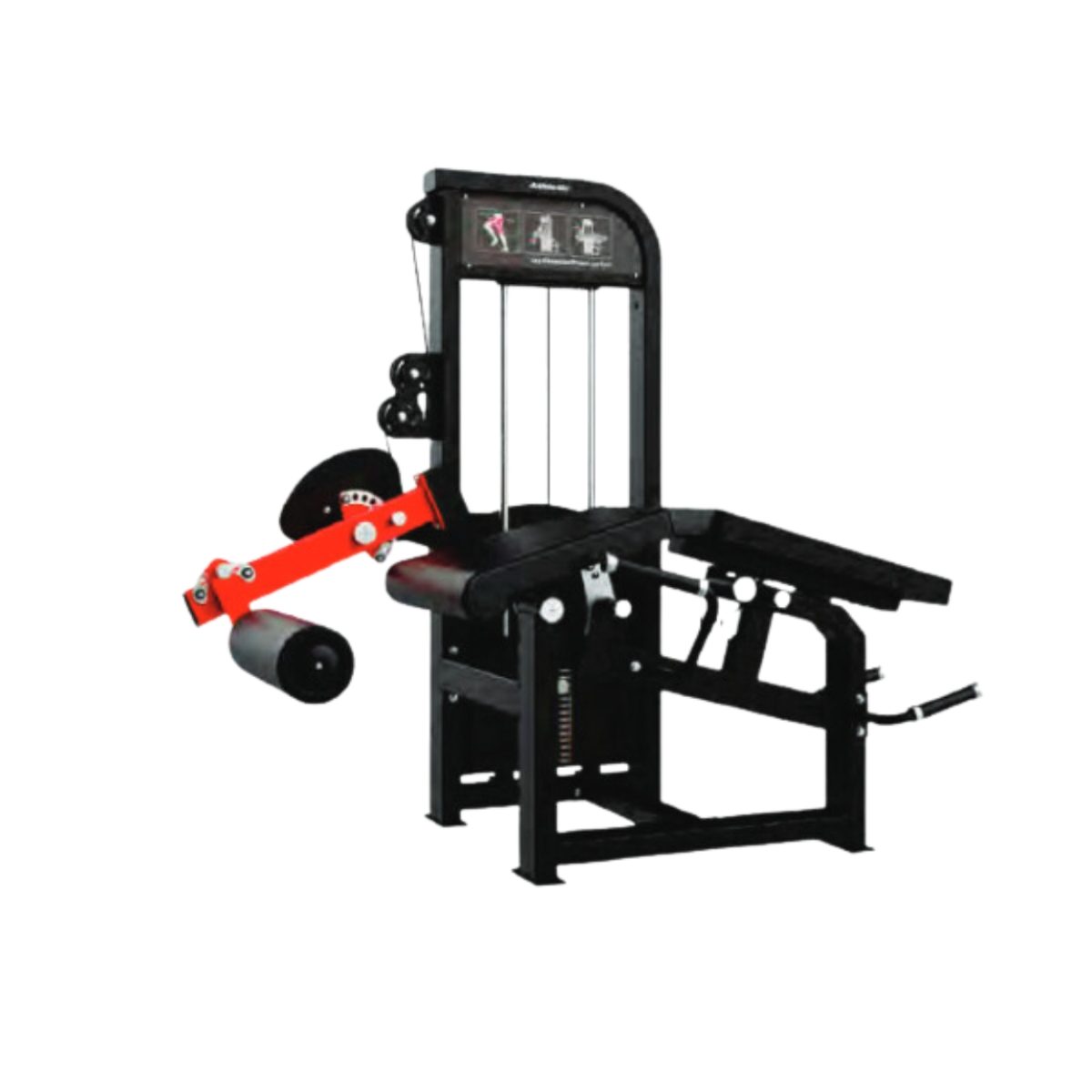 SEATED LEG EXTENSION & PRONE LEG CURL