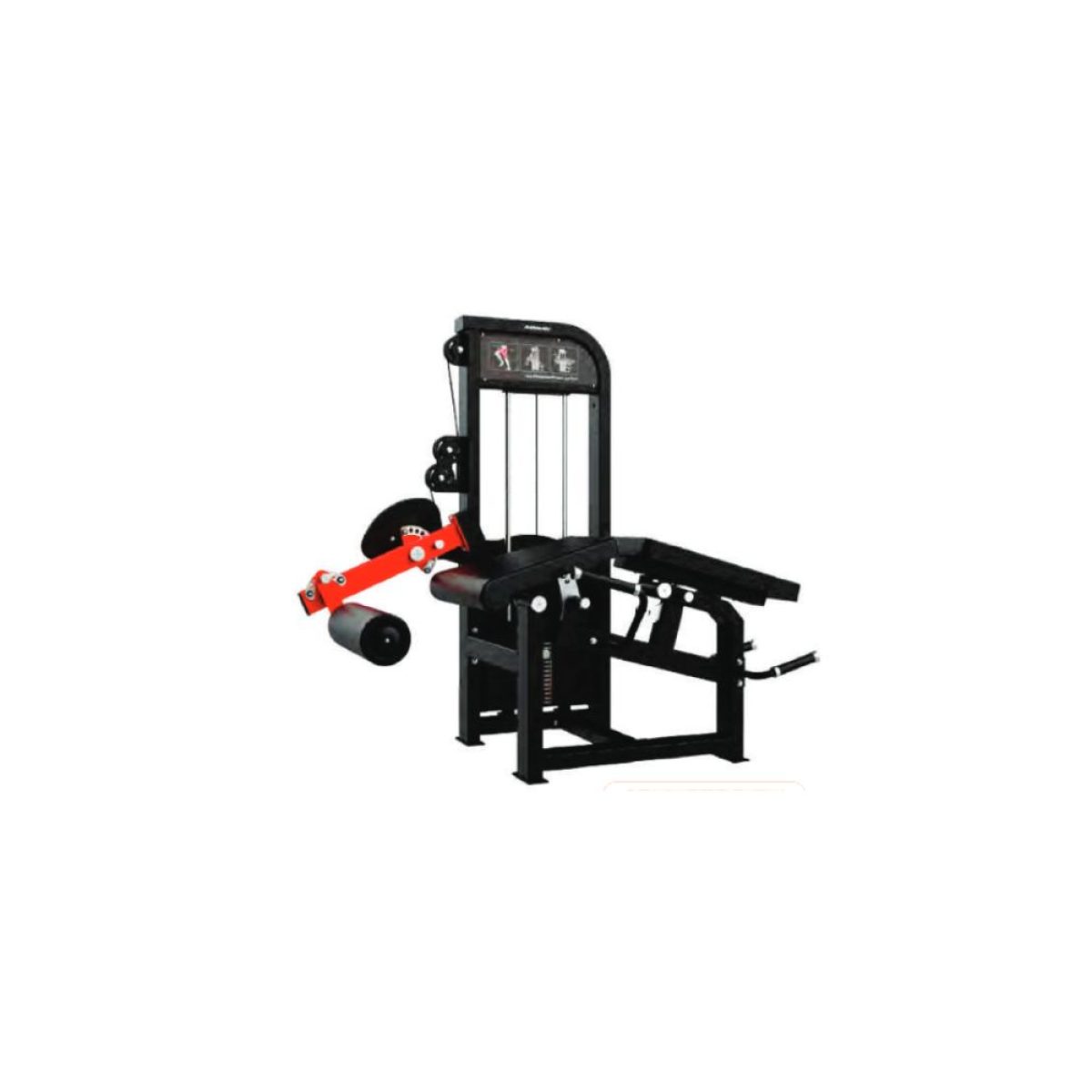 SEATED LEG EXTENSION & PRONE LEG CURL